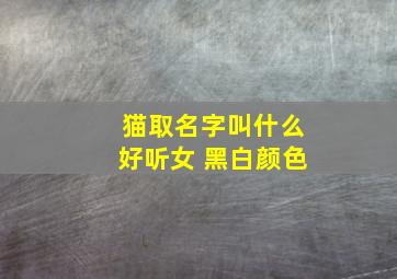 猫取名字叫什么好听女 黑白颜色